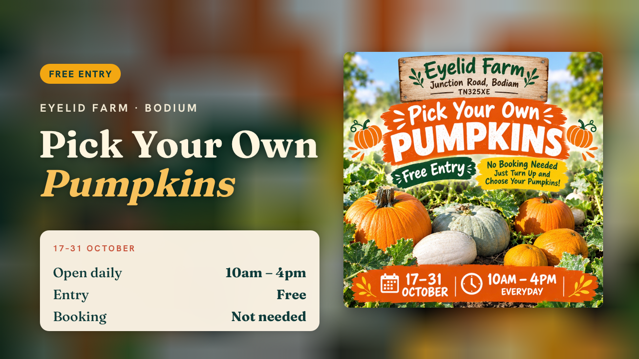 Pick Your Own Pumpkins - Eyelid Farm