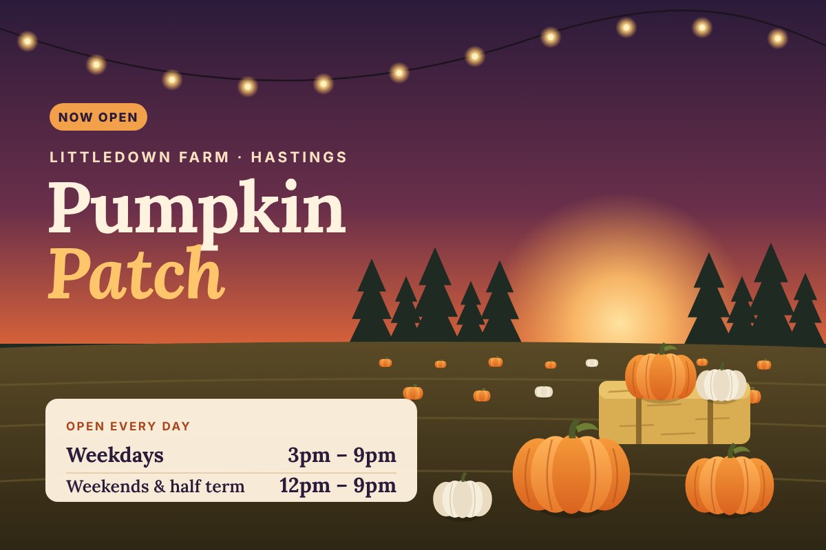 Littledown Christmas Tree Farm's Pumpkin Patch